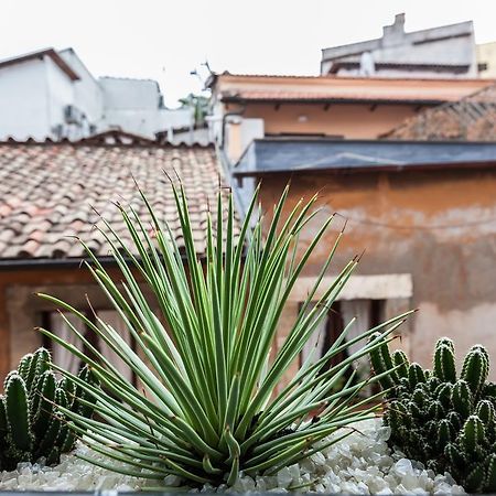 Casa Serena Roma Oda fotoğraf