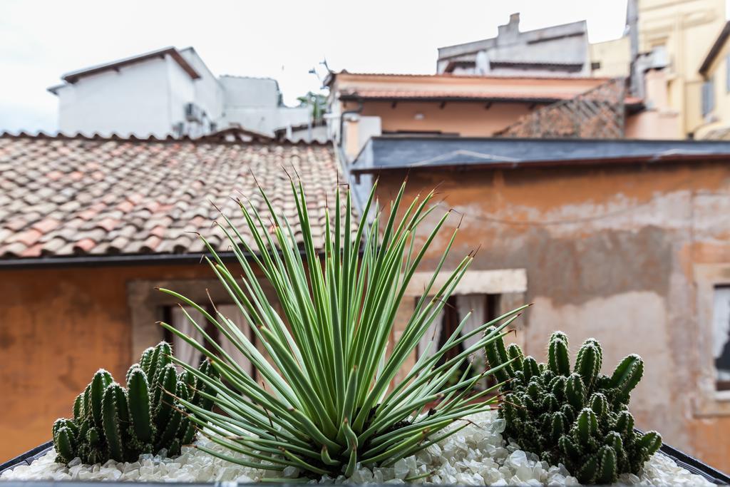 Casa Serena Roma Oda fotoğraf